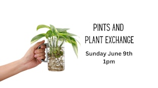 Pints and Plants @ Darkroom Brewing Co. 