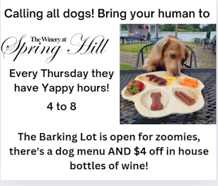 Dog Friendly Yappy Hours @ The Winery At Spring Hill