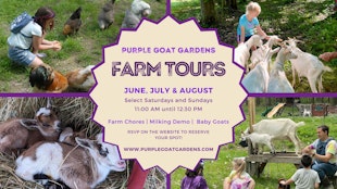 Farm Tours with Baby Goats!