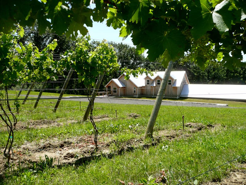 Silver Crest Exterior And Vineyard