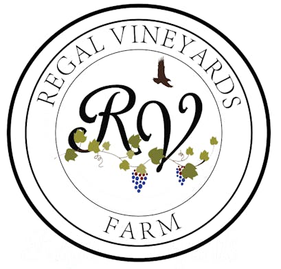 Rv Logo
