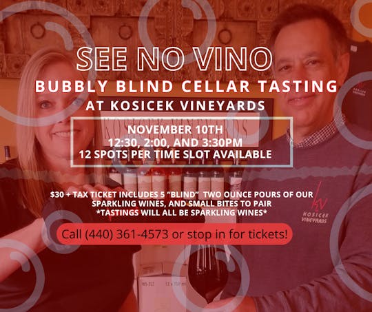 "See No Vino" Blind Cellar Tasting @ Kosicek Vineyards