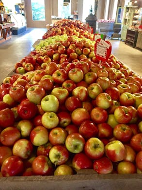 Brant's Apple Orchard 2