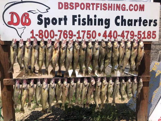 DB Sports Fishing 2