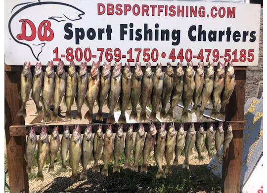 DB Sports Fishing 2