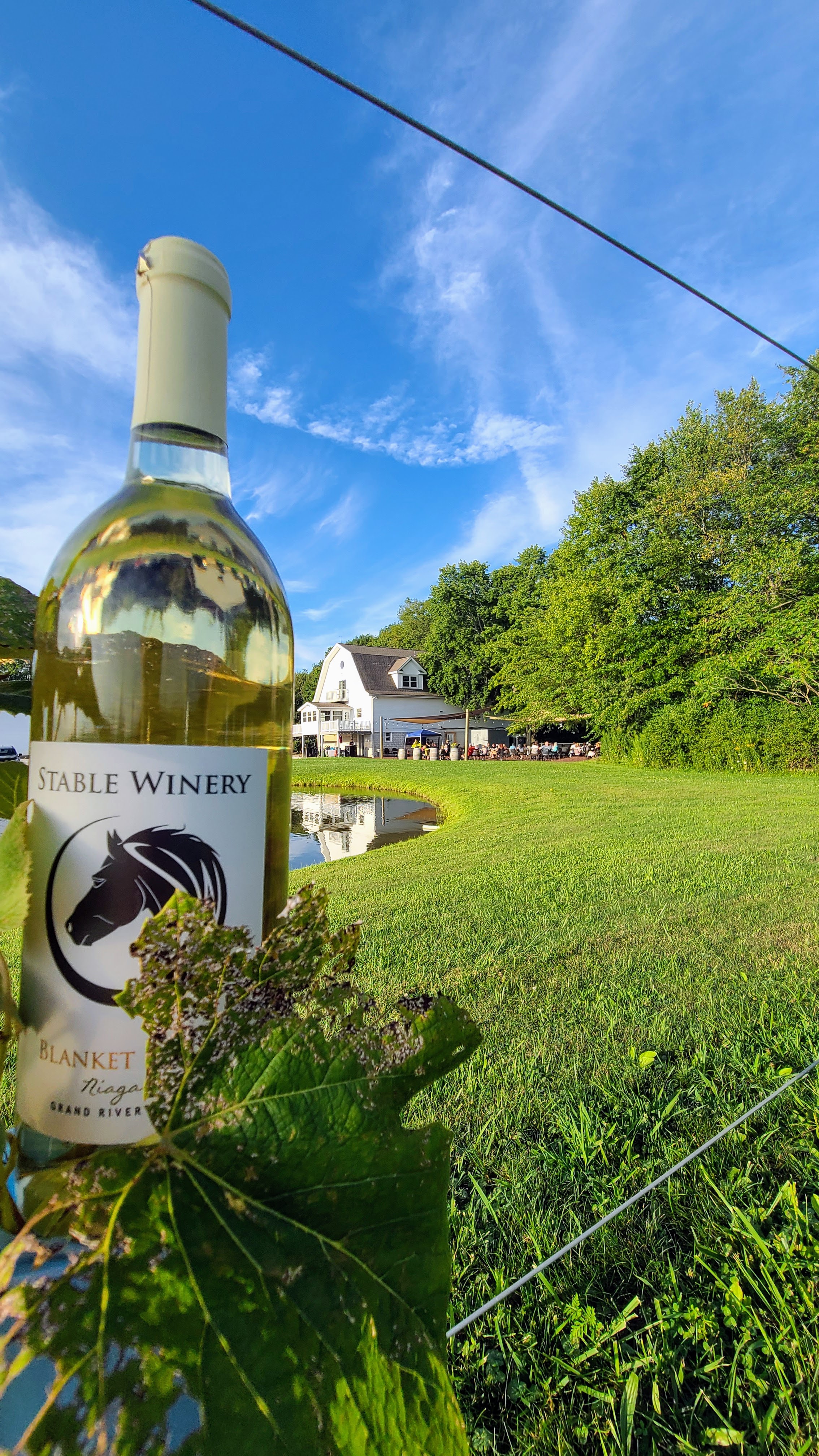 Stable Winery | Ashtabula County Visitors Bureau