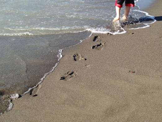 Little Footprints Lake Erie