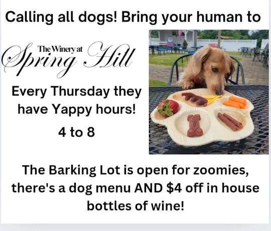 Dog Friendly Yappy Hours @ The Winery At Spring Hill