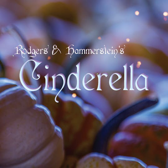 Cinderella logo image 1.png