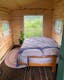 Flannel Dog Farm Bed
