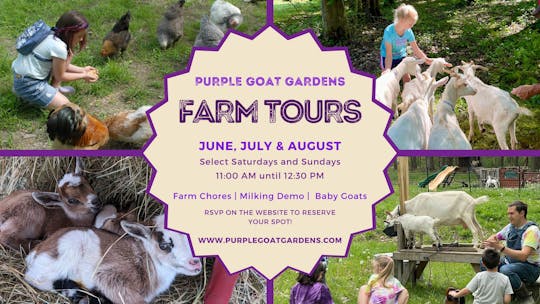 Farm Tours with Baby Goats!