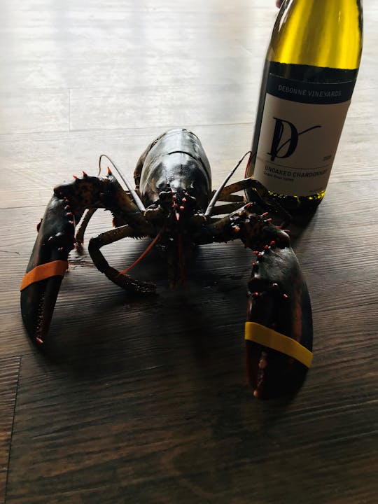 LIVE Maine Lobster @ Debonne Vineyards