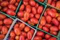Ashtabula Farmers Market tomatoes